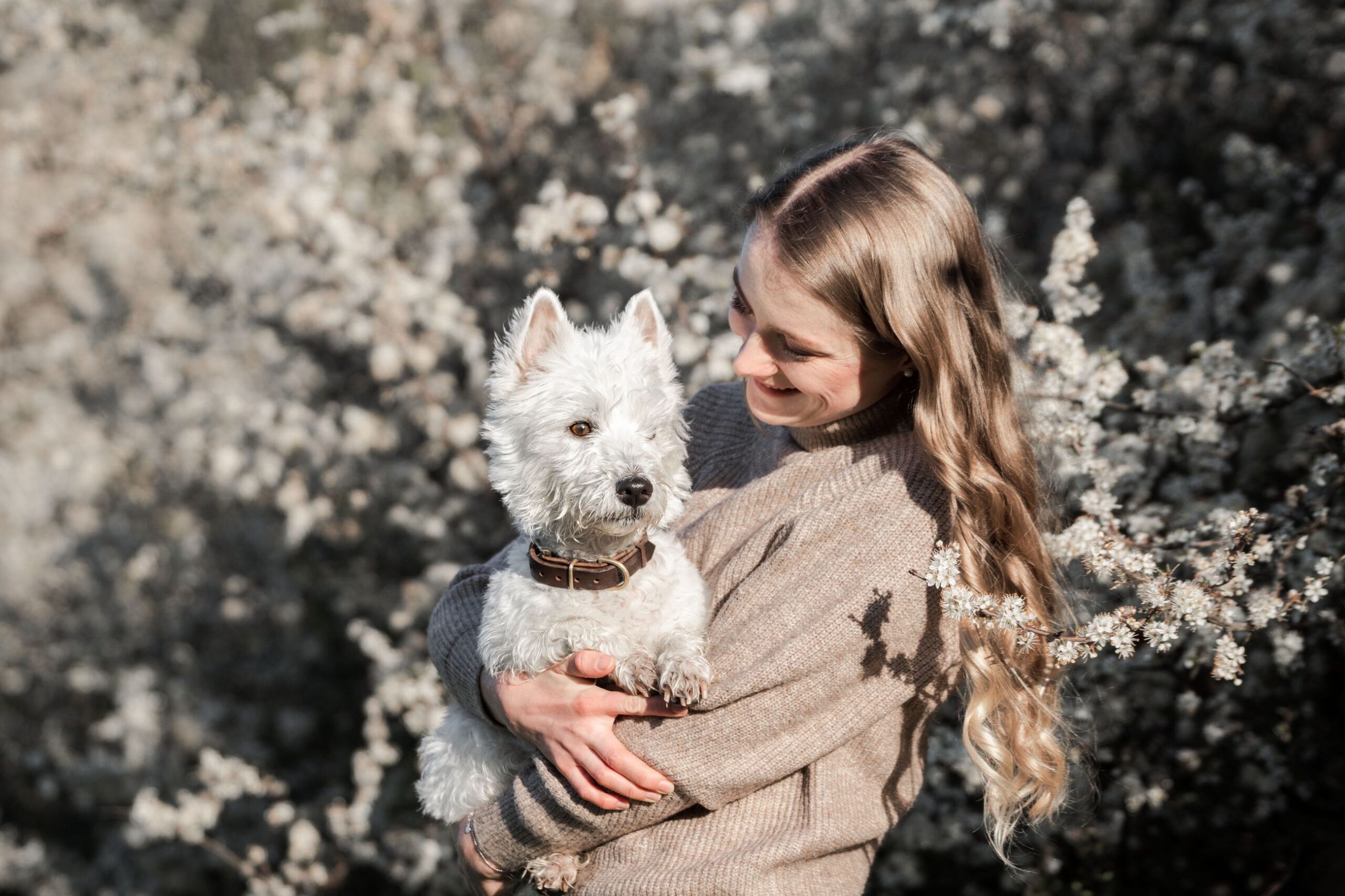 Hund bei einem Hundefotoshooting im Freien