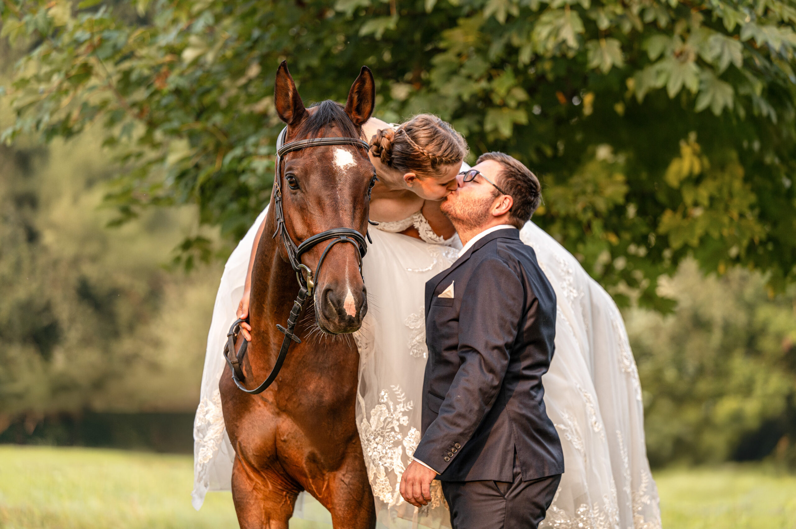 Pferd bei einem natürlichen Fotoshooting