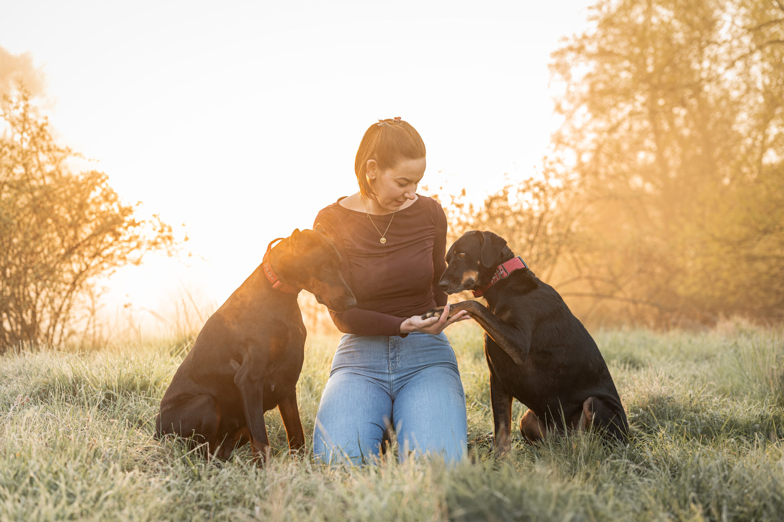 Hund in natürlicher Umgebung