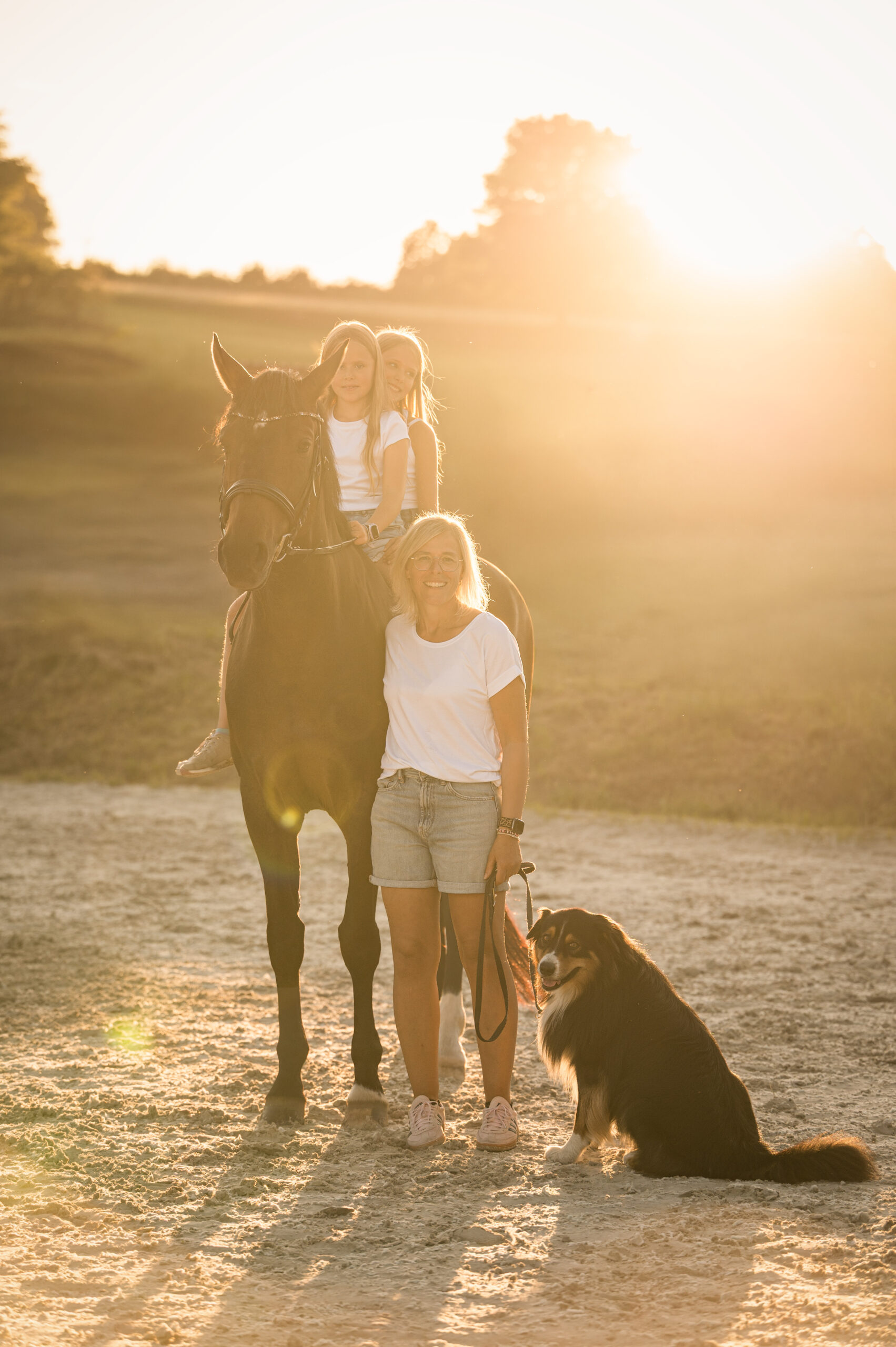 Frau mit Pferd und Hund auf Reitplatz im goldenen Abendlicht – Tierfotografie Reutlingen von Bambifotografie