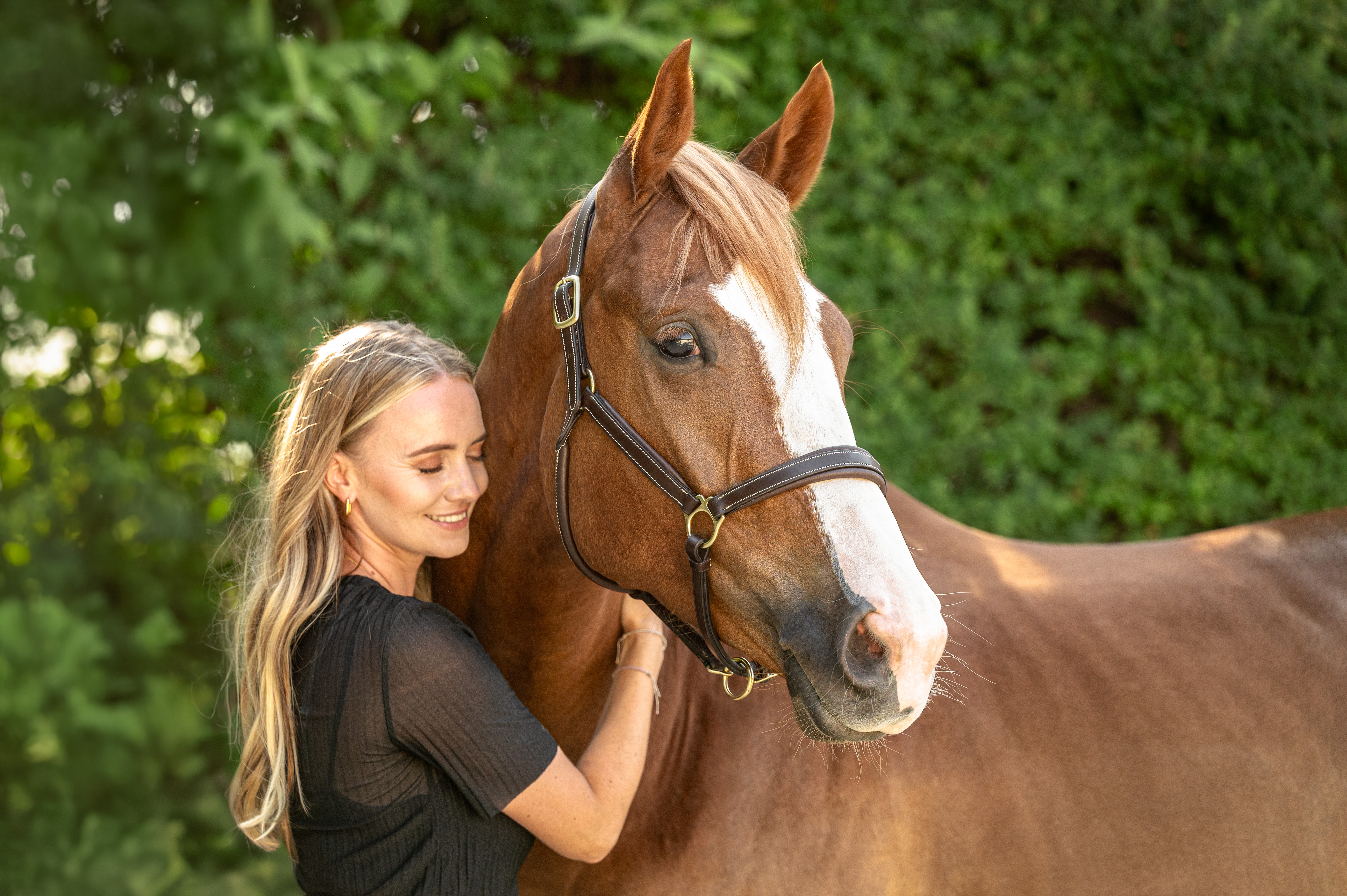 Pferd während eines natürlichen Pferdefotoshootings