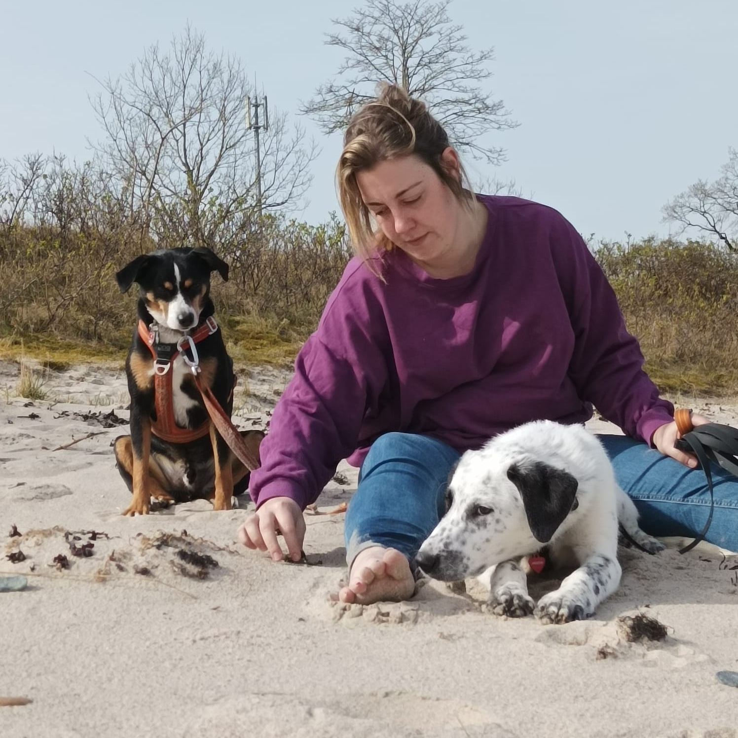 Claretta bei einem persönlichen Tierfotoshooting