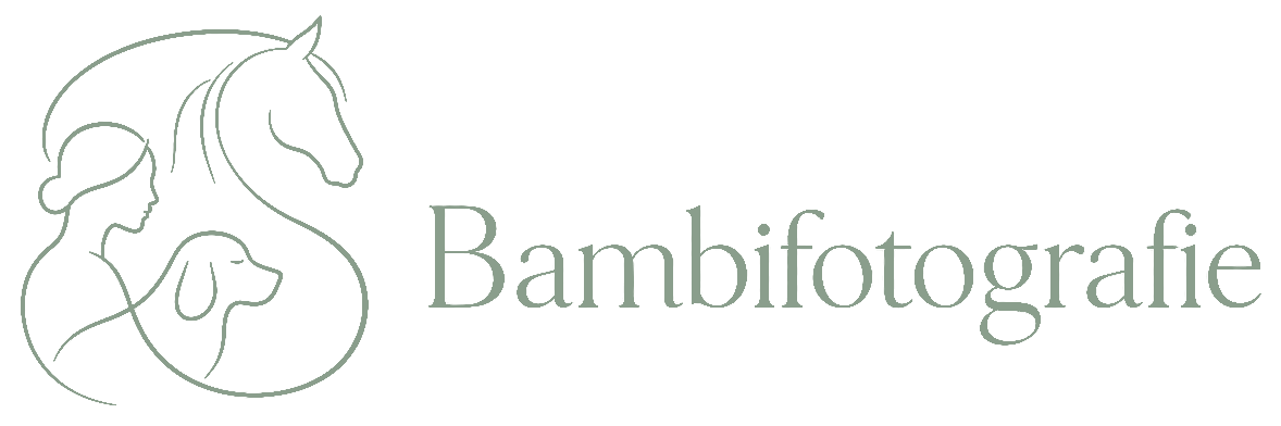 Bambifotografie